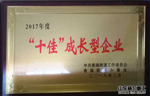 十佳成長(zhǎng)企業(yè)